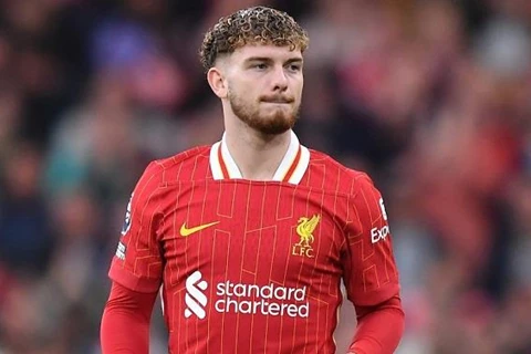   "يجب ألا ننجرف وراء الاحتفالات".. إليوت يتحدث عن هزيمة ليفربول أمام برايتون